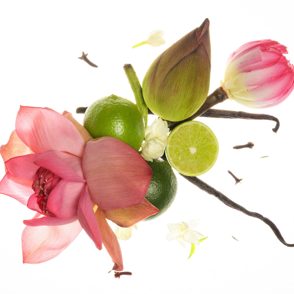 
                        
                          تحميل الصورة في عارض المعرض ، عطر مركز هيرلوم
                        
                      