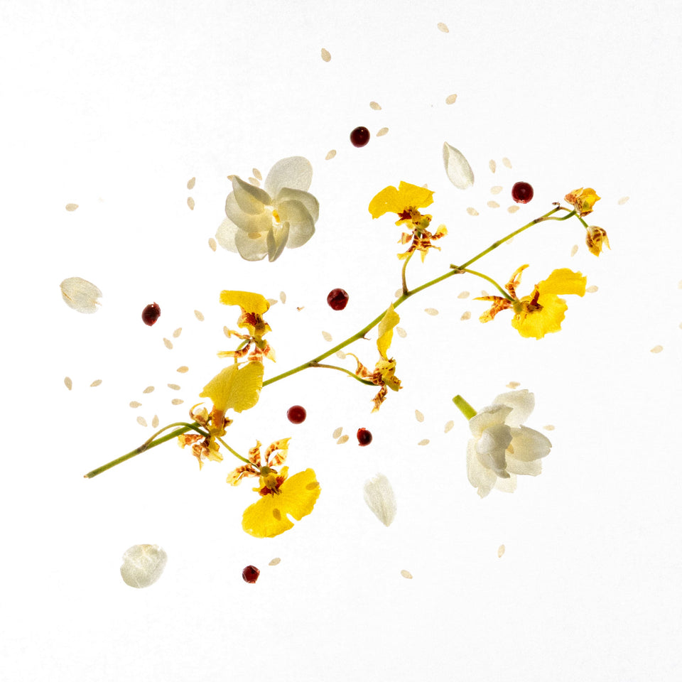 
                        
                          تحميل الصورة في عارض المعرض ، كين مسك بارفيوم
                        
                      