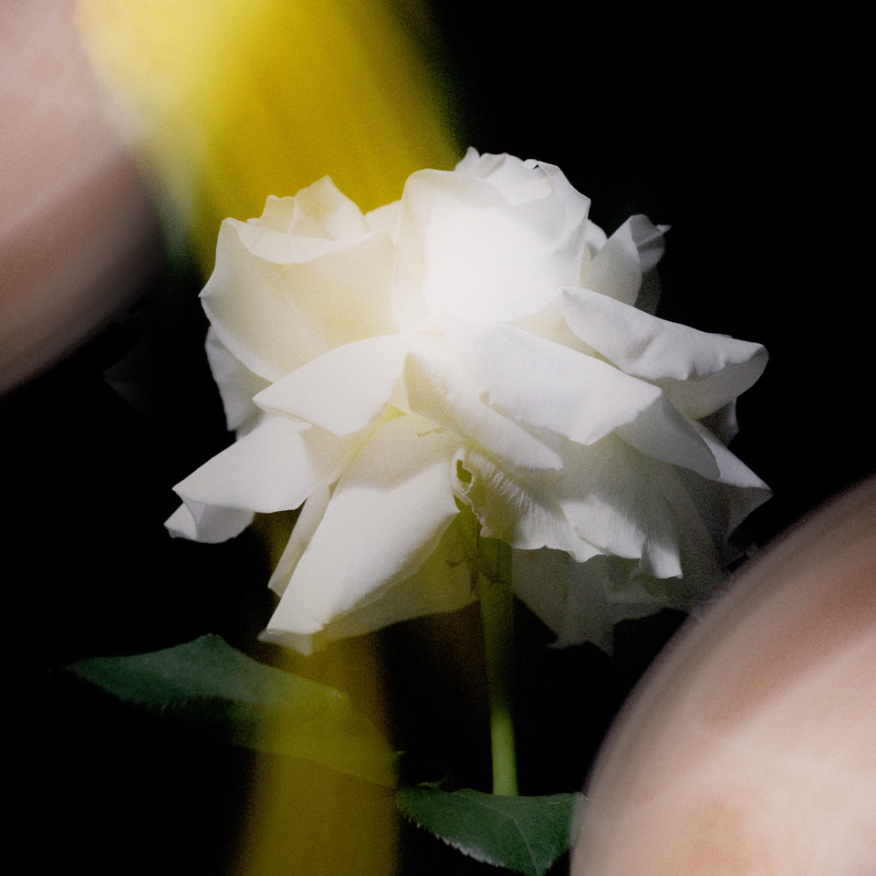 
                        
                          Load image into Gallery viewer, HAIR MIST MIDNIGHT NOISE
                        
                      